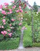 Bususweg im Bauerngarten