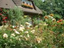 Ferienwohnungen Schwalbennest im Rosengarten, direkt in Bad Zwischenahn für 2 - 8 Personen